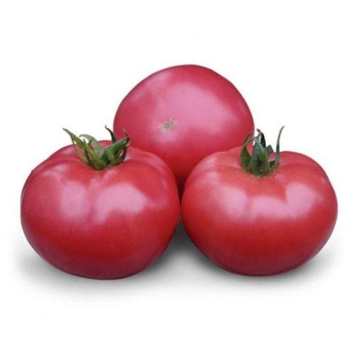 Помідор рожевий
