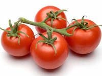 Помідор гілка