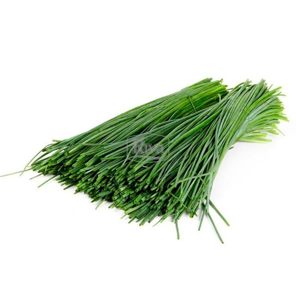 Свіжа цибуля перо