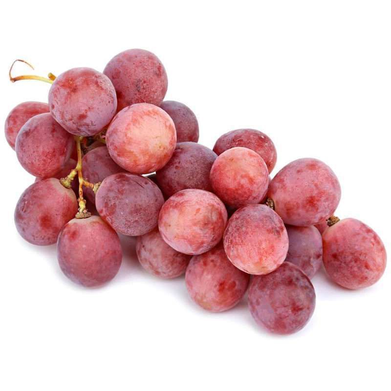 Виноград Кардинал - великі, соковиті ягоди