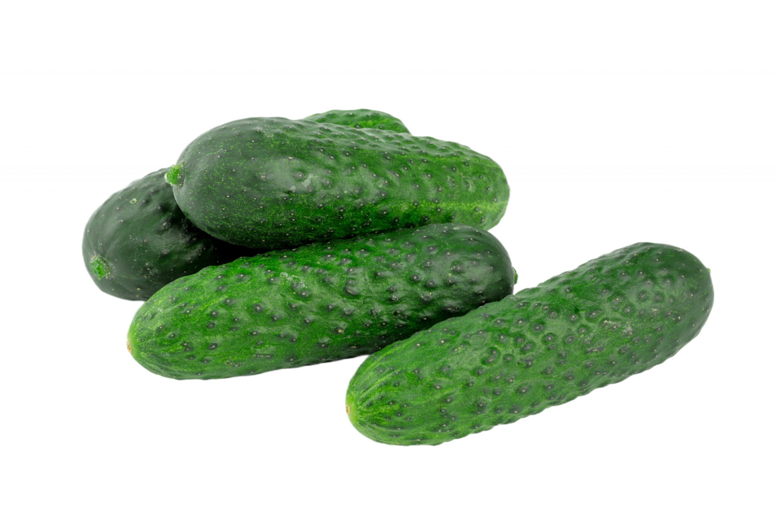 Свіжий огірок