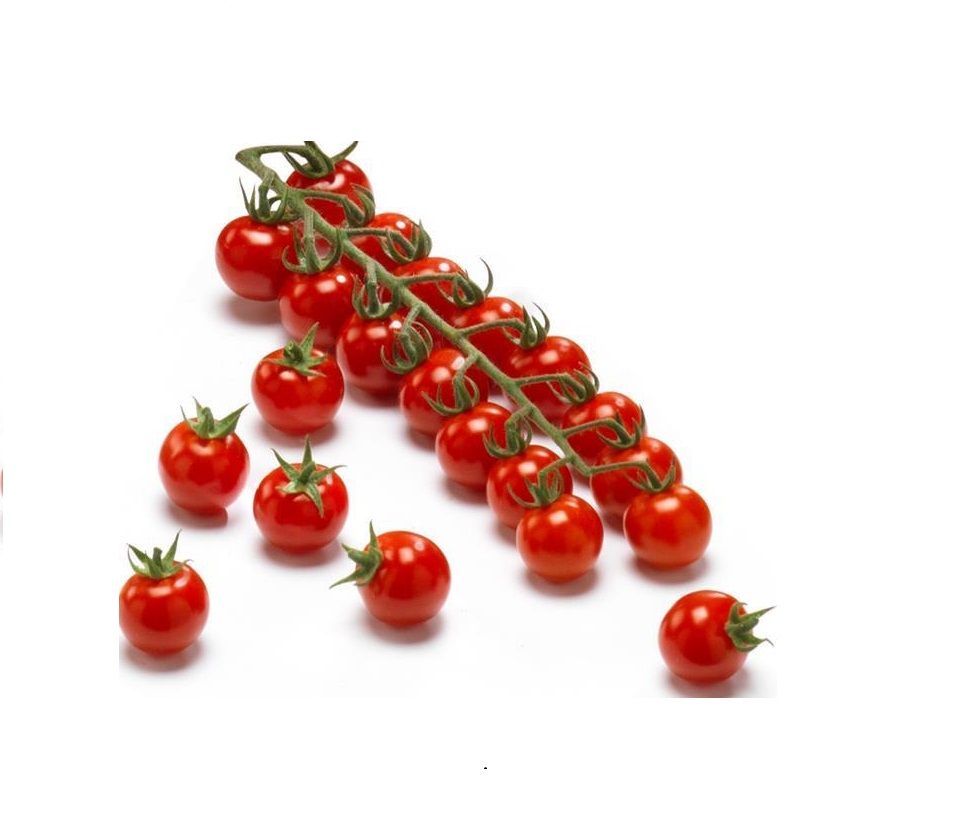 Помідор чері на гілці